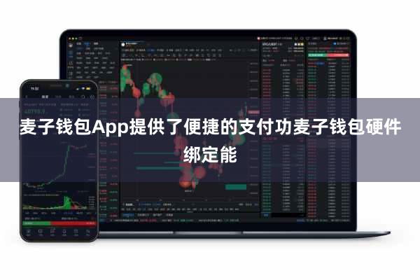 麦子钱包App提供了便捷的支付功麦子钱包硬件绑定能