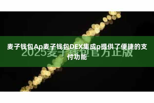 麦子钱包Ap麦子钱包DEX集成p提供了便捷的支付功能
