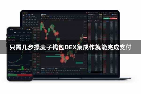 只需几步操麦子钱包DEX集成作就能完成支付
