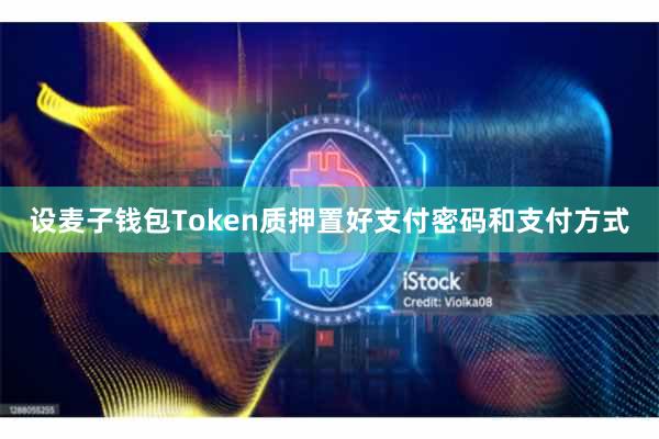 设麦子钱包Token质押置好支付密码和支付方式