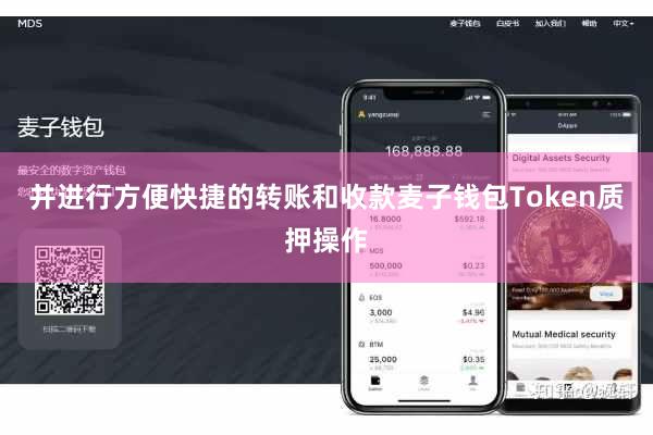 并进行方便快捷的转账和收款麦子钱包Token质押操作