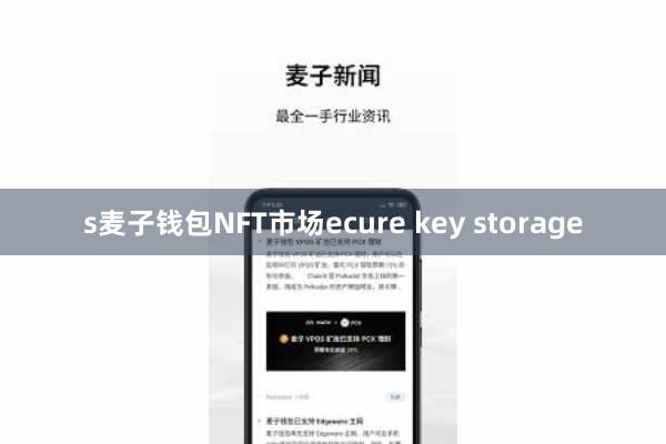 s麦子钱包NFT市场ecure key storage