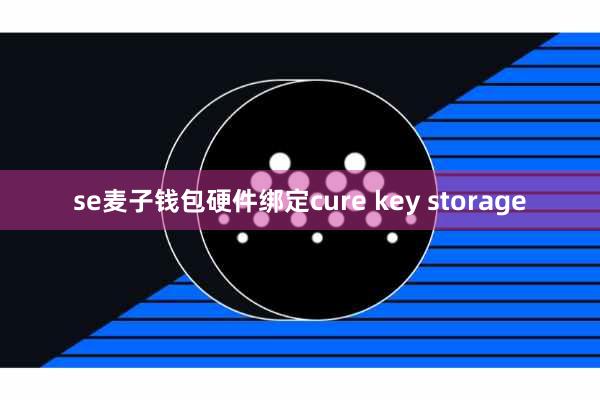 se麦子钱包硬件绑定cure key storage