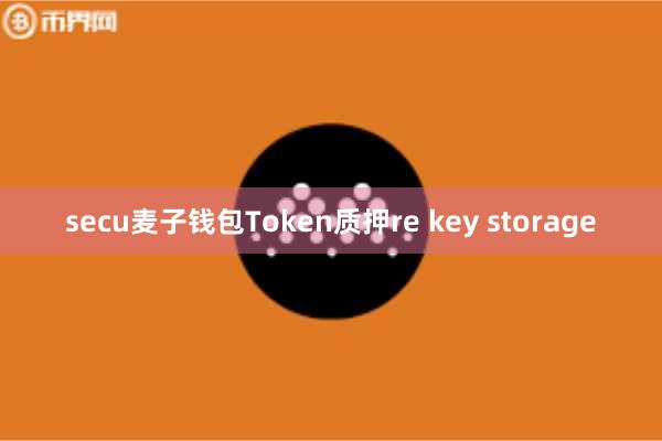 secu麦子钱包Token质押re key storage