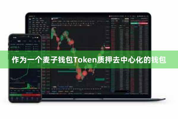 作为一个麦子钱包Token质押去中心化的钱包