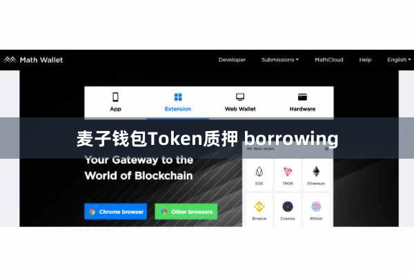 麦子钱包Token质押 borrowing