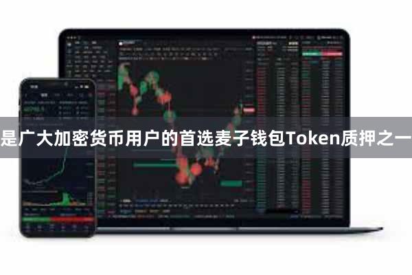 是广大加密货币用户的首选麦子钱包Token质押之一