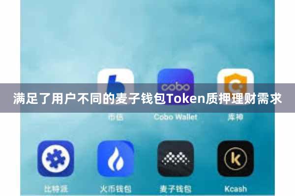 满足了用户不同的麦子钱包Token质押理财需求