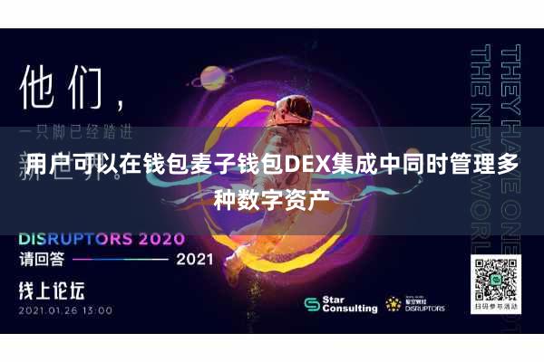 用户可以在钱包麦子钱包DEX集成中同时管理多种数字资产