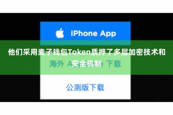 他们采用麦子钱包Token质押了多层加密技术和安全机制