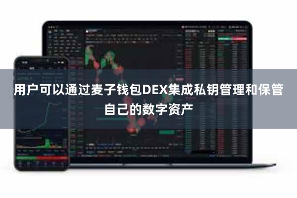 用户可以通过麦子钱包DEX集成私钥管理和保管自己的数字资产